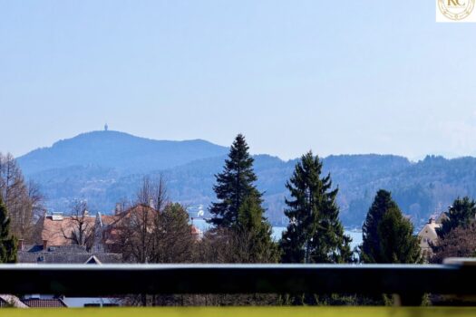 459HFc7vz33UcAxPKNHWg2