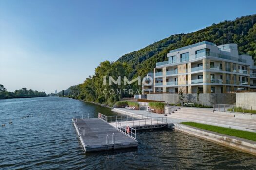 The Shore_drohne_09_24-37