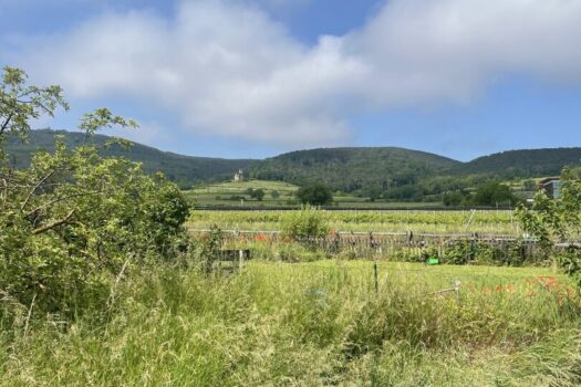 4J4GegBRb2U3Ybq3lysgER