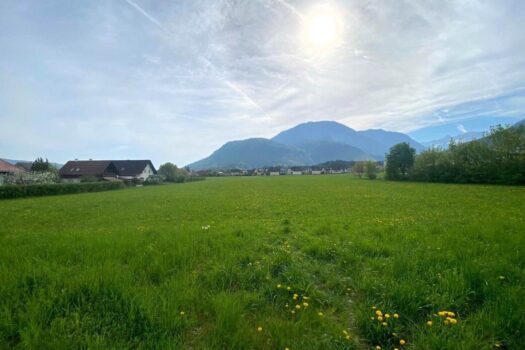 4Js5BKkOgqfQrkIeNfIEl6