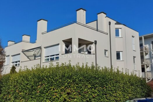 4LSiD1J5bxqjiIvzirdp6n