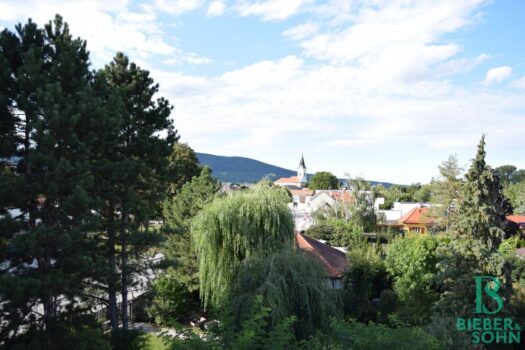 Großzügiges, sonniges Einfamilienhaus mit 80m² Dachterrasse Ausblick Dachterrasse