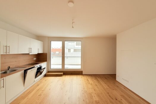 4PyjzhsIXXKEQaHaw1VweO