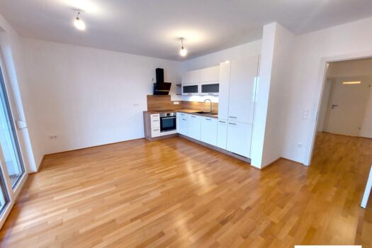 4RNDnhvGTGx8y95x16vQZ3