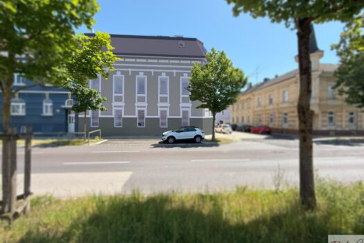 Projekt GOETHE20 - 6 Altbauwohnungen und 3 Loftwohnungen in der historischen Stadtvilla Wels/Zentrum 4S5dKoaLad4esaKlPnjtbO