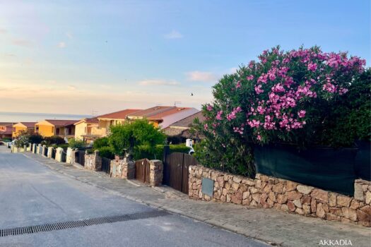 4SkAXgzMkA6YNGqCmu1gmS