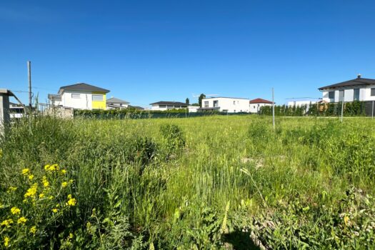 4WiUC1lDc9C6eQuiOeUgUO