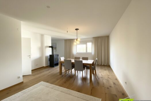 Wohnzimmer mit Einrichtungsvorschlag