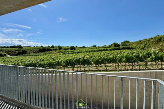 4cGwdPJB7PY346LID26Vzd