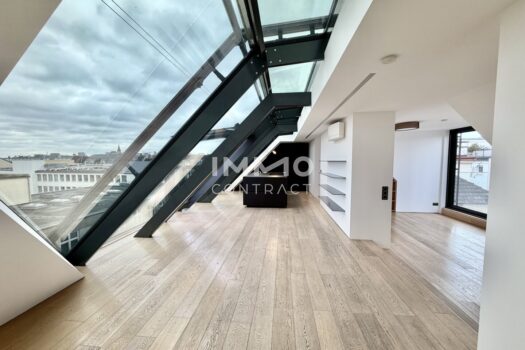 This is more than a home: Rochusmarkt - A Penthouse That Sets New Standards for Luxury Living 4ebStdCqj0b2rZurmnbbIL 1