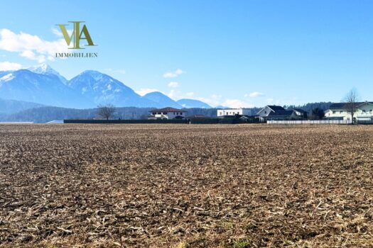 4lhViSO39joAd8RT57fjUi