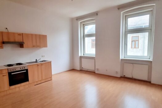 Preishit! Helle 1 Zimmer Altbauwohnung - unbefristet 4pxvSpjwwn5YbjpI6rpbr5