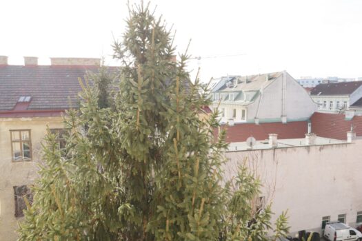 4xprIw4ki9vS6PDFe7eq39