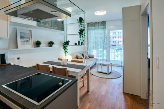 *moderne Wohnungen von 47 - 99m² mit Balkon in Graz - Nähe Messe - Erstbezug, top Ausstattung! 54LGSIzxpyEhIN0gJIxdrc
