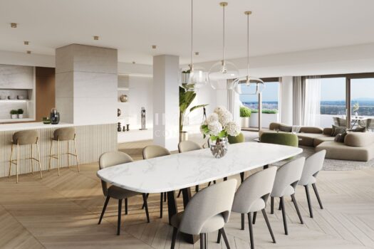 Soravia_DFPenthouse_still_cam06