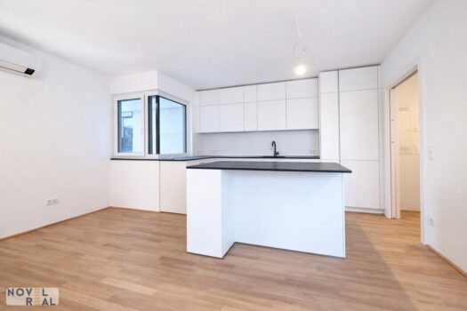 57MZmd1WqDOSe8pFvhyp6k