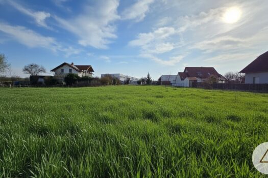 5AtuabWvWyE5fveauvTbdy