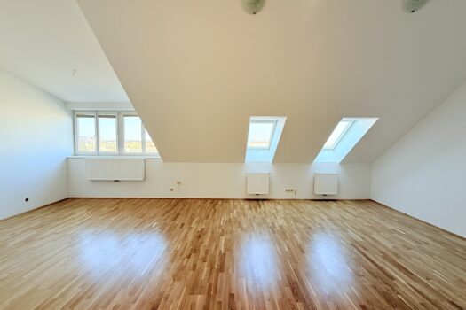 5DS8OjzOXQP0Y5HvZfWS3f