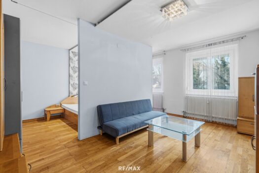 Gemütliche 1,5 -Zimmer-Wohnung in 1220 Wien Wohnzimmer