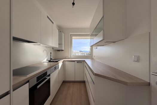 5IWKdJvSorFT6v2VpcvupO