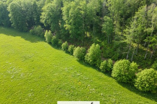 Großzügiges Grundstück im Grünen – Bauland & Landwirtschaft vereint 5IWsHrS3gyNFea88nDj3V8