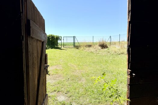 5JfckDKwQPW7ZxdeMD1Qwn