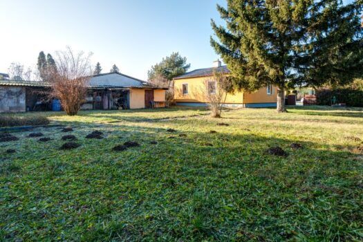 5M3b8MfPyIYmxtoHuIoJP6