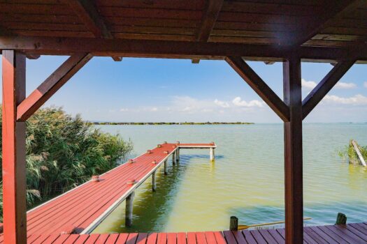 5P2iUdDsfFh7Bkn655S23x