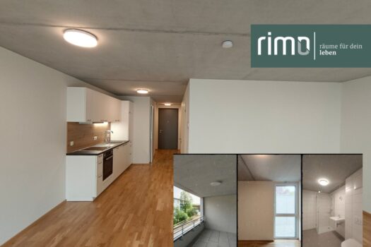 5X1z8ZM9dkROb8Vftw61Ls