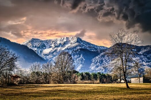 5ZHOwSRnGHySgf34wXhBBd