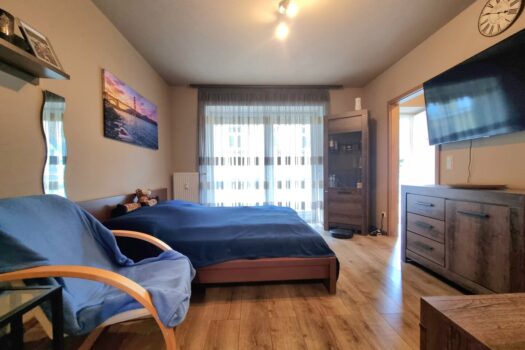 Modernisierte Single-Wohnung mit Carport in ruhiger Lage! Wohn- und Schlafzimmer