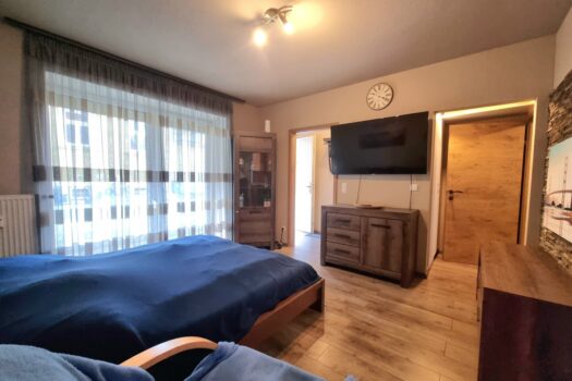 Wohn- und Schlafzimmer