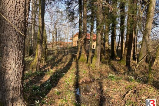 5mWmBkVUYt5rlrmYD6pSrd