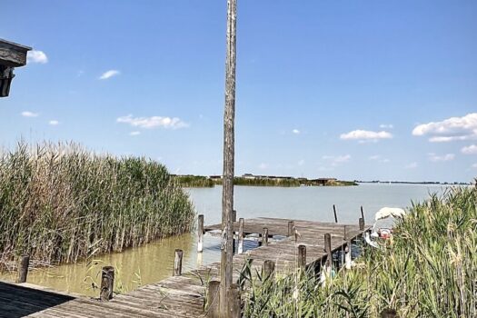 5mlmci9A9C7tuF6LJ2nHgp