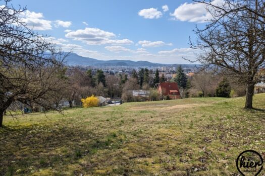 5pmN1S7H1v9FJW8zXeid2w