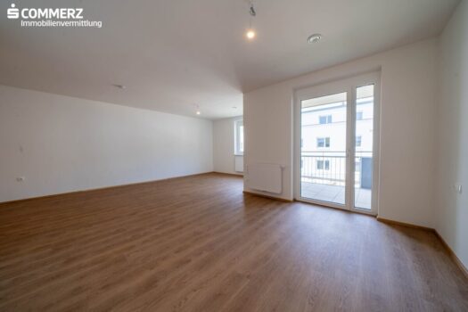 5qP3iiNFq9Uv1FuO8m7TnR