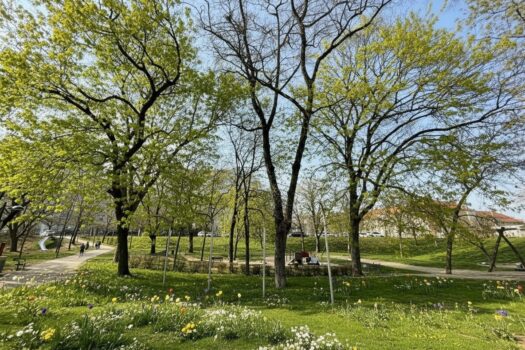 Trillerpark - Exklusive 2-Zimmer-Wohnung mit Loggia nahe der Alten Donau 5shRgvszljjUPkefLlOTIn