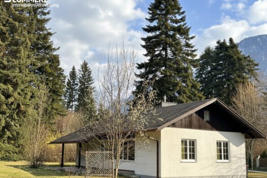 Seitenansicht - KI_generiert (Sonnenschein)