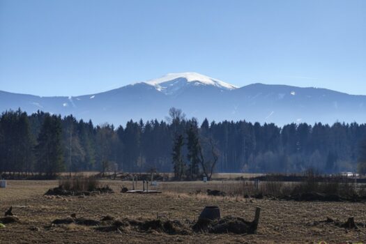 62Ce7OZH4pmFZqXSArpopR 2