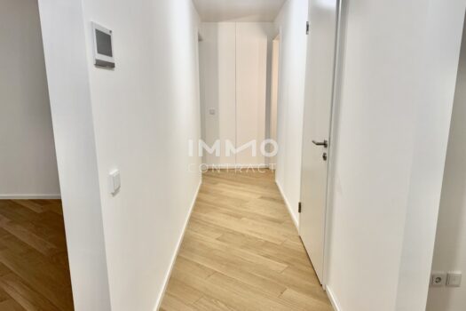 63amlo68K43RGETq2xn15E