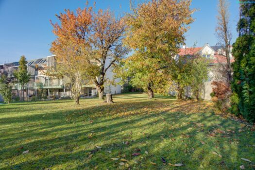 67X2szkFtUOc4bpZRE1BY6