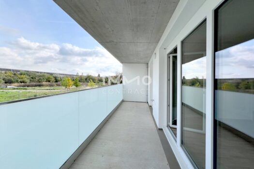 11FC15E1-2789-4E3B-BC72-5DF8DA8476E7_1_105_c Kopie