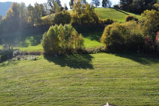 6BWhjYc1NfTG9OqXtJ8AGo 1