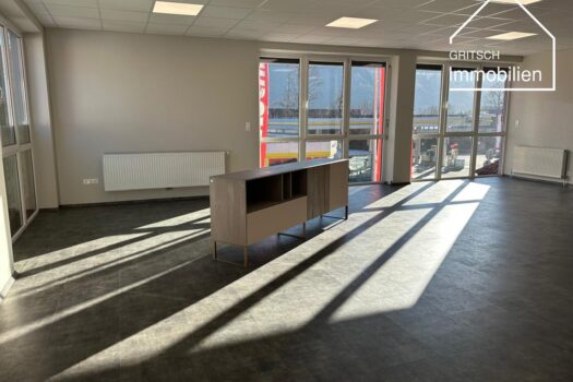 6DM95TreBwzlVip7a24POT 1