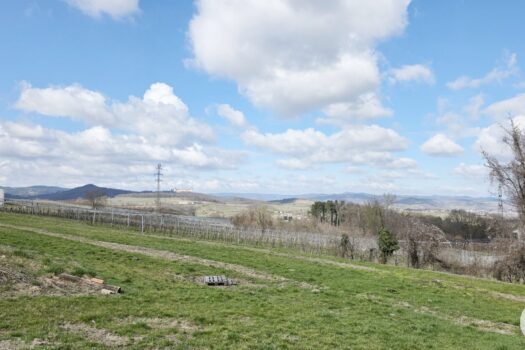 6F6KvejyQxYXZuEsw61y5t