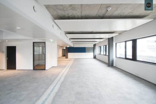 6INuOJos112wYnZWfrtvFT 1