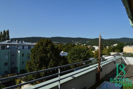 Große Dachterrasse! Lichtdurchflutete, elegante 3-Zimmer Dachgeschoßwohnung mit Garage! Terrasse
