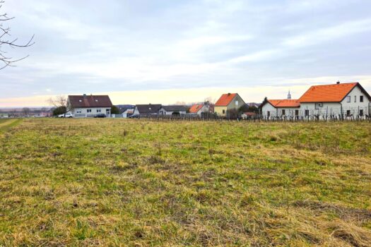 6OzMGd3arIycjWmICpwCW6