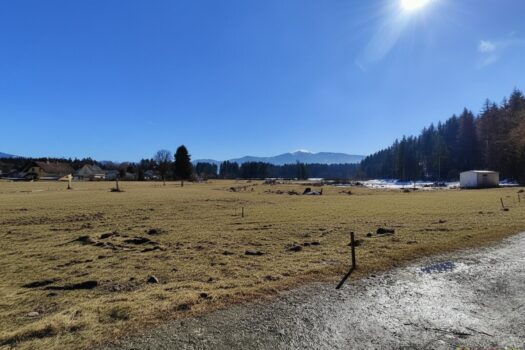 6RpG3nW3UEee8zwtrhX6xz