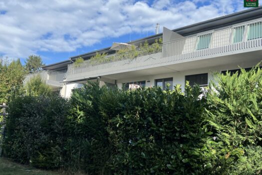 6VIWremihJxeQSjRN4F2Ic